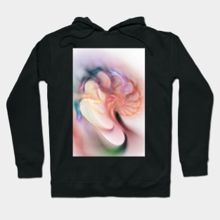 Shell Hoodie